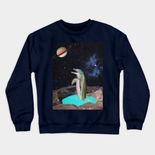 Planet Dolphin Crewneck Sweatshirt